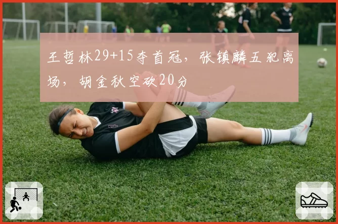 王哲林29+15夺首冠，张镇麟五犯离场，胡金秋空砍20分