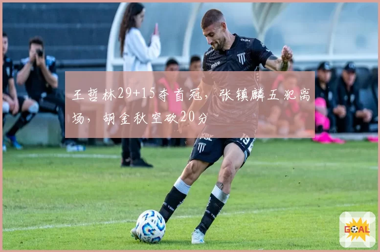 王哲林29+15夺首冠，张镇麟五犯离场，胡金秋空砍20分