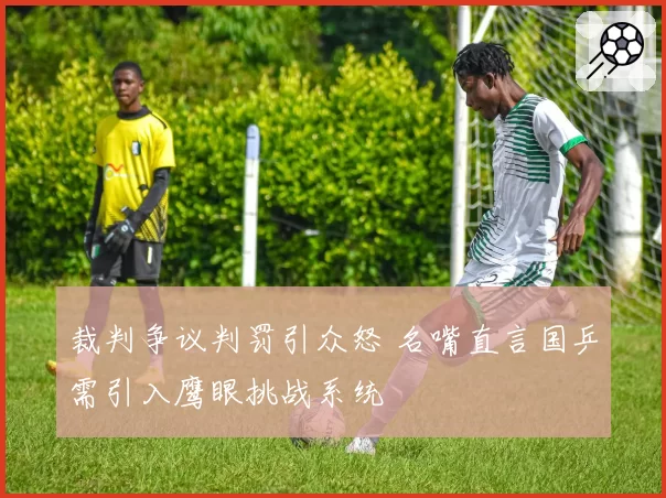 裁判争议判罚引众怒 名嘴直言国乒需引入鹰眼挑战系统