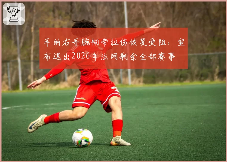 辛纳右手腕韧带拉伤恢复受阻，宣布退出2026年法网剩余全部赛事