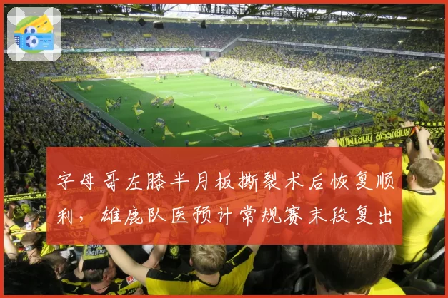 字母哥左膝半月板撕裂术后恢复顺利,雄鹿队医预计常规赛末段复出